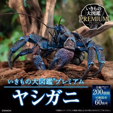 Cargar imagen en el visor de la galería, The Diversity of Life on Earth Coconut Crab Exclusive Figure - ShopAnimeStyle